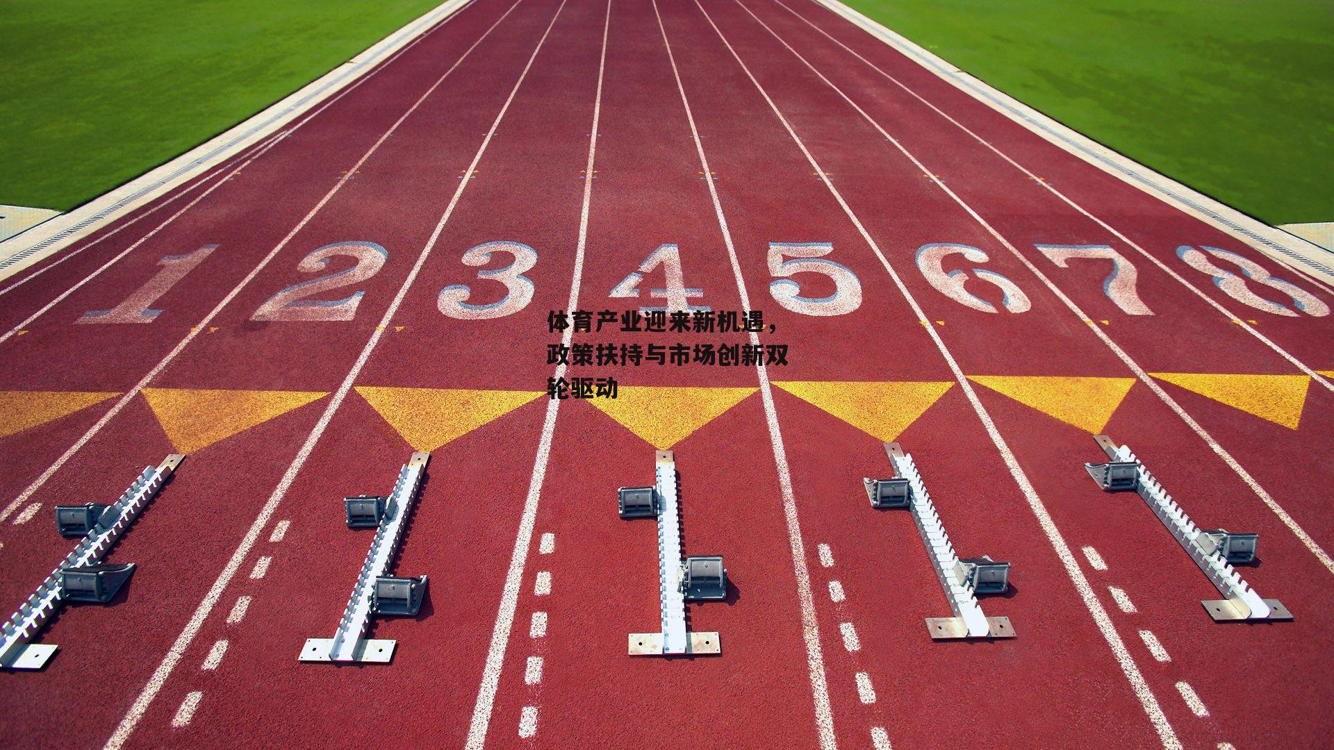 体育产业迎来新机遇，政策扶持与市场创新双轮驱动
